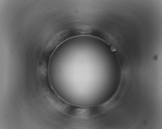 X0000112890170200908281709