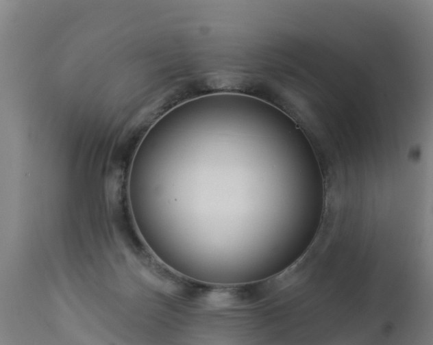 X0000112890171200908281709