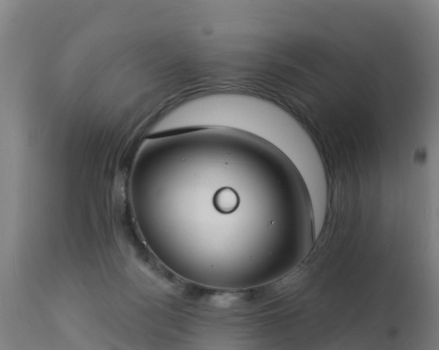 X0000112890172200908281709