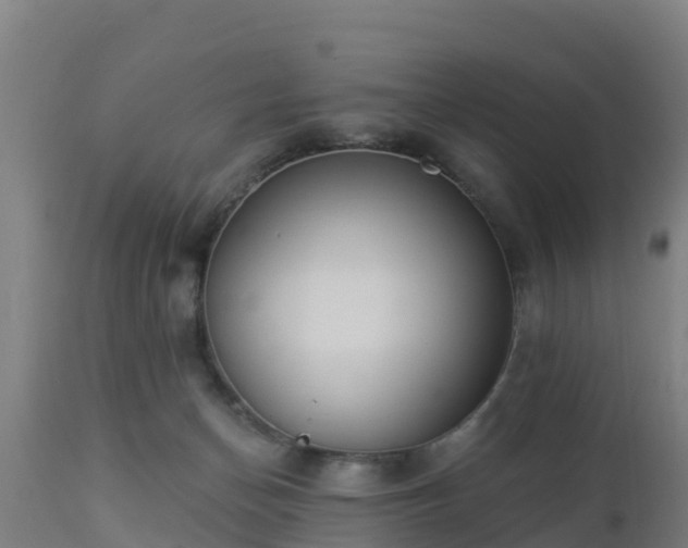 X0000112890174200908281709