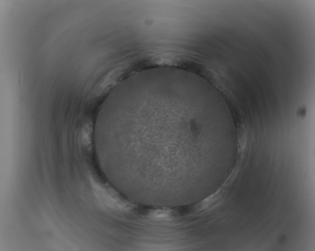 X0000112890175200908281709