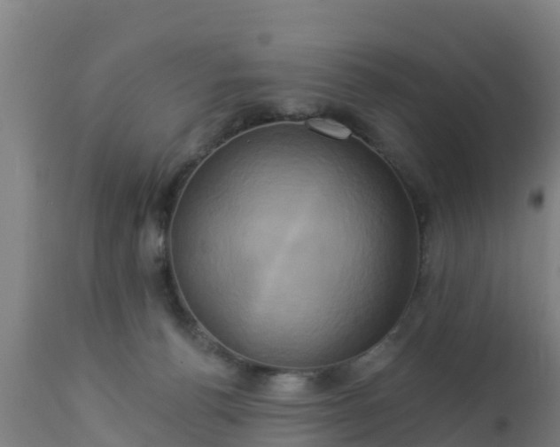 X0000112890176200908281709