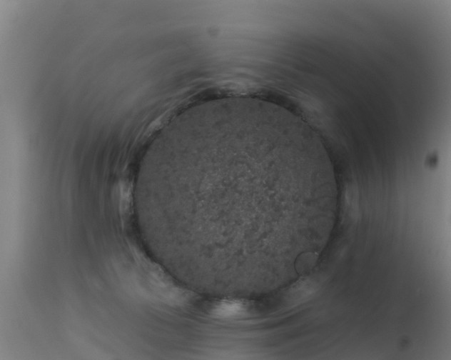 X0000112890177200908281709