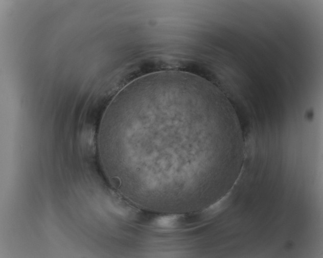 X0000112890178200908281709