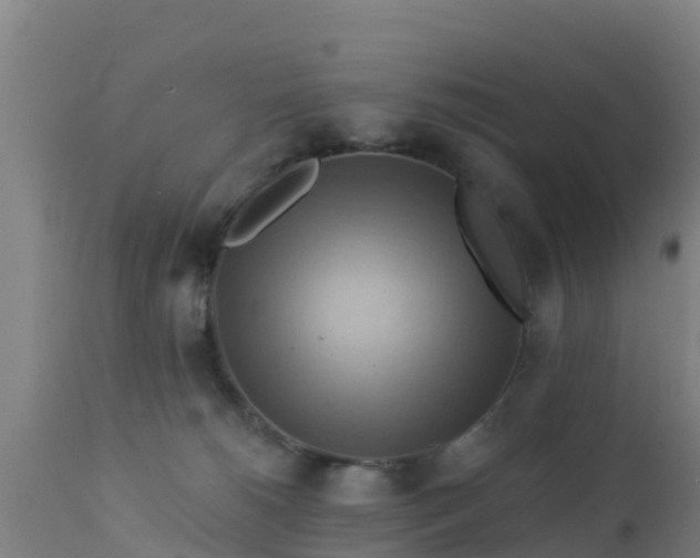 X0000112890180200908281709