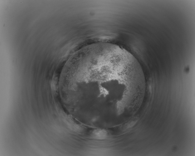 X0000112890181200908281709