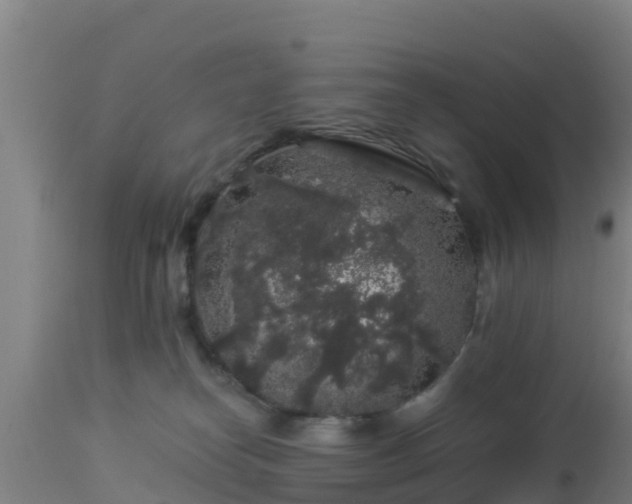 X0000112890182200908281709