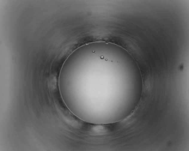 X0000112890183200908281709