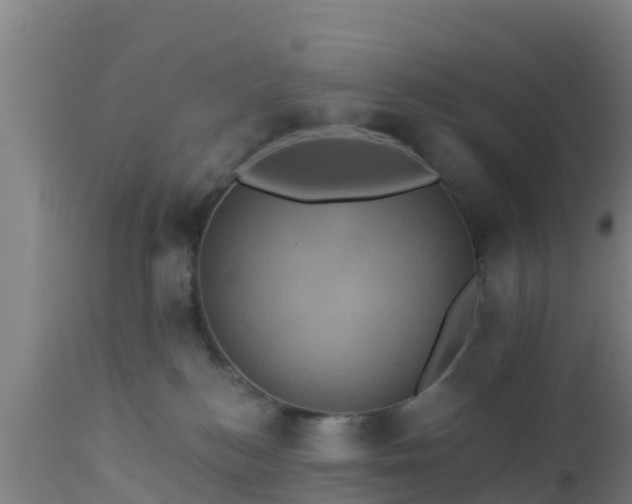 X0000112890184200908281709