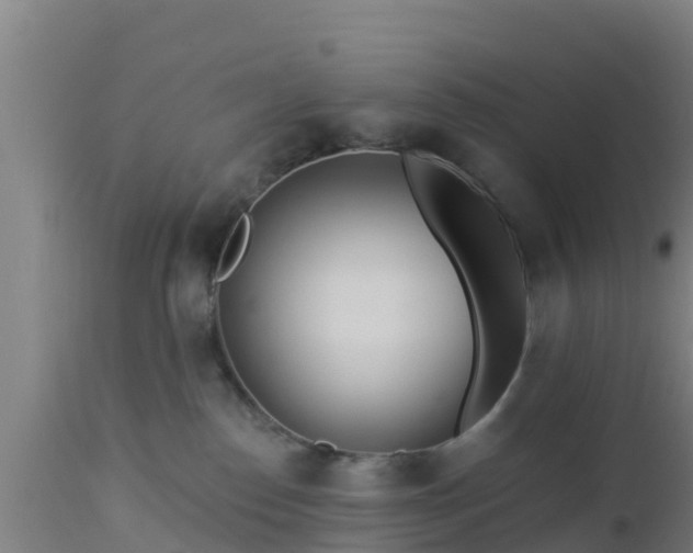 X0000112890186200908281709