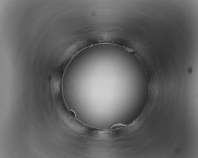 X0000112890188200908281710