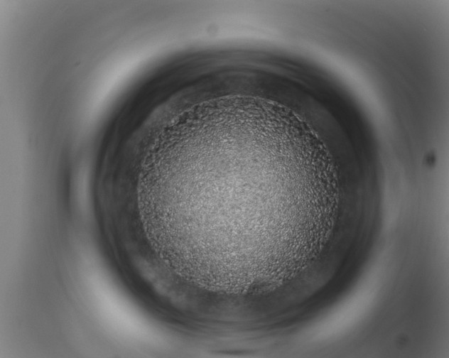 X0000112890189200908281710