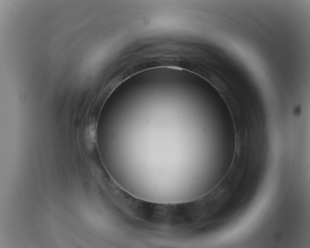 X0000112890190200908281710