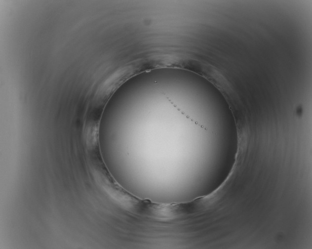 X0000112890191200908281710