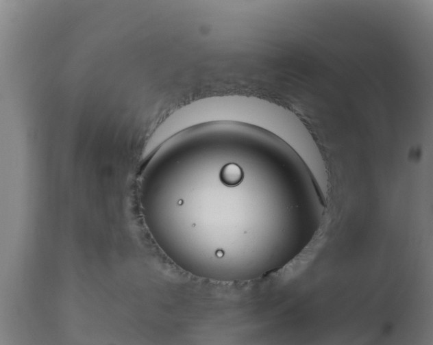 X0000112890192200908281710
