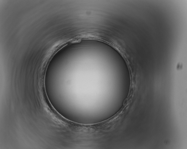 X0000112890193200908281709