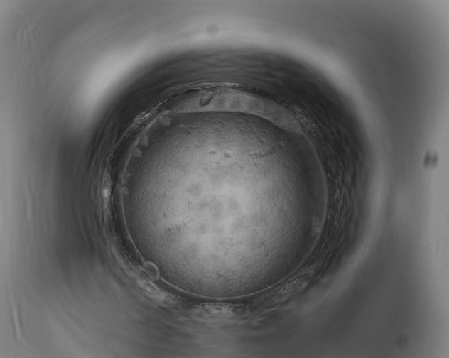 X0000112890194200908281709