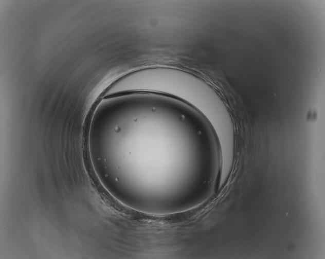 X0000112890195200908281709