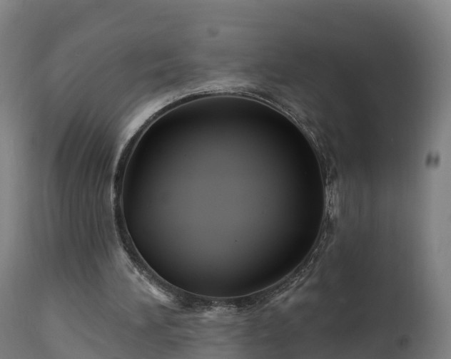 X0000112890196200908281709