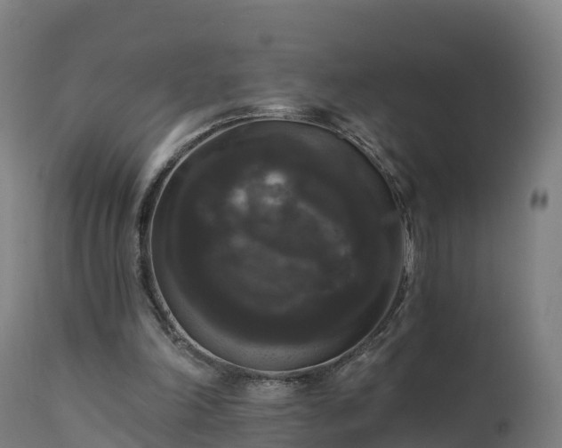X0000112890198200908281709