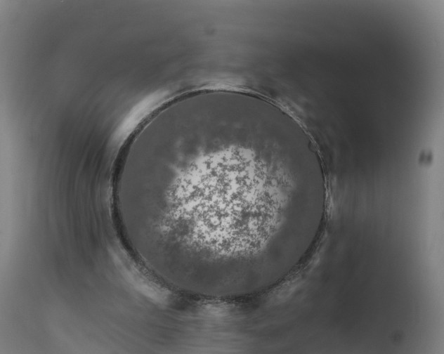 X0000112890199200908281709