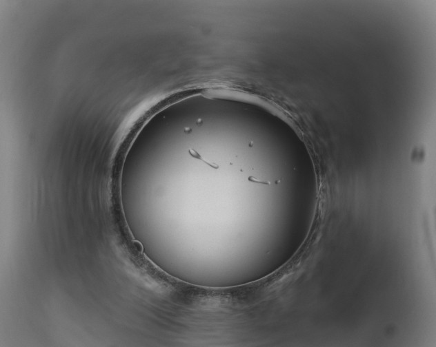 X0000112890200200908281709