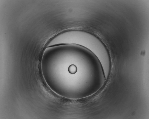 X0000112890201200908281709