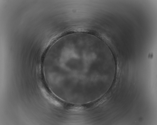 X0000112890202200908281709