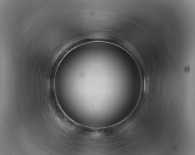 X0000112890204200908281709
