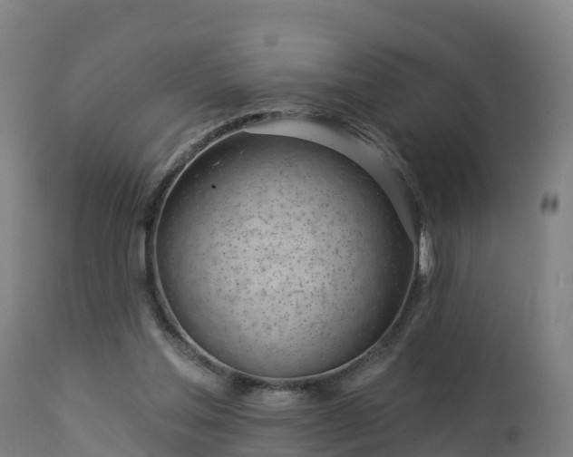 X0000112890205200908281709