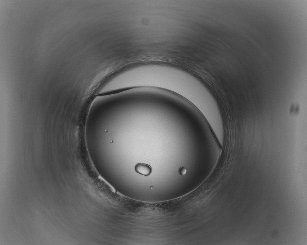 X0000112890207200908281709