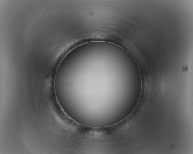 X0000112890208200908281709