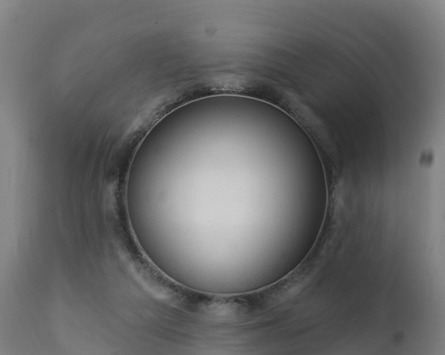 X0000112890209200908281709
