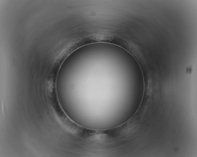 X0000112890210200908281709