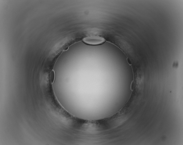 X0000112890211200908281709