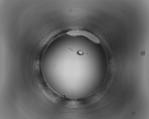 X0000112890212200908281709