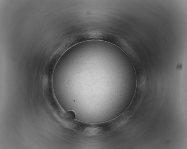 X0000112890213200908281709