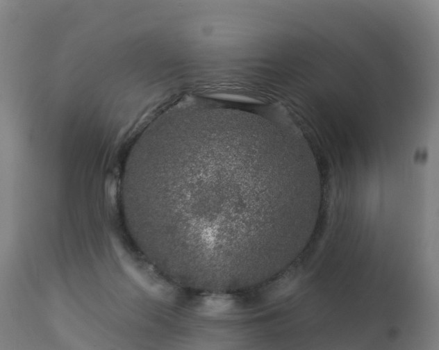 X0000112890214200908281709