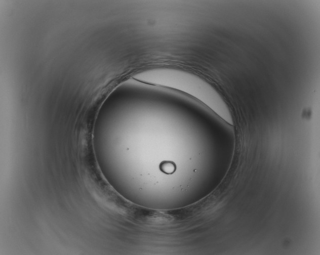 X0000112890215200908281709
