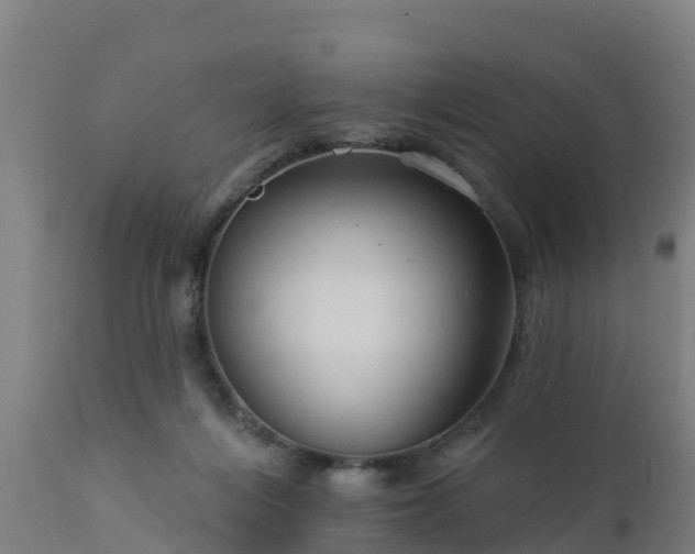 X0000112890216200908281709