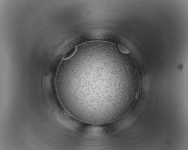 X0000112890217200908281709