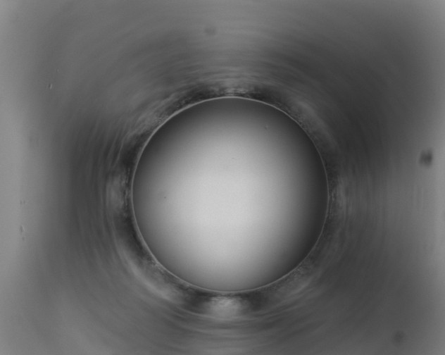 X0000112890218200908281709