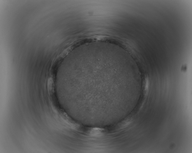 X0000112890222200908281709