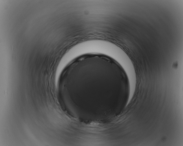 X0000112890223200908281708