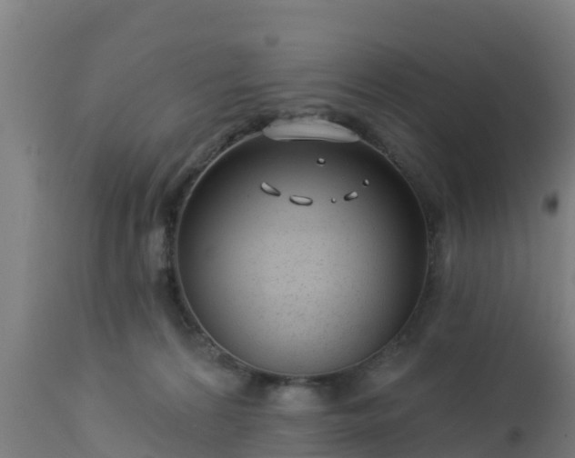 X0000112890224200908281708