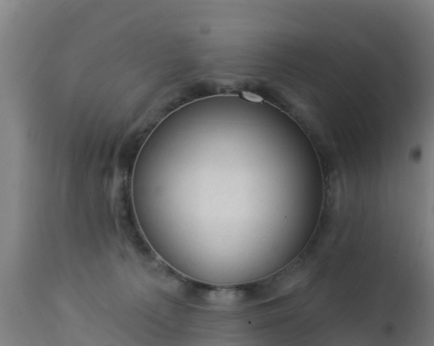 X0000112890225200908281708