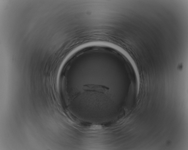 X0000112890227200908281708