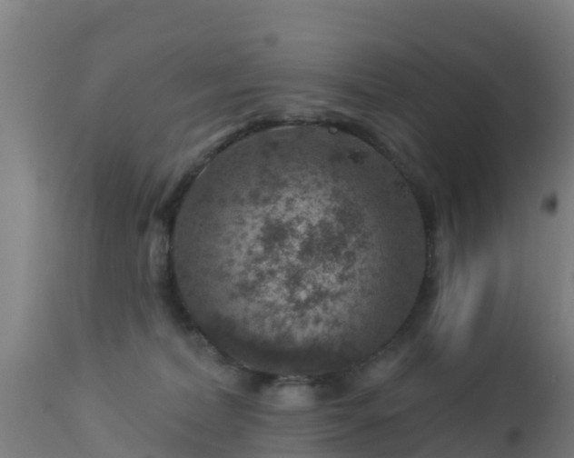 X0000112890228200908281708
