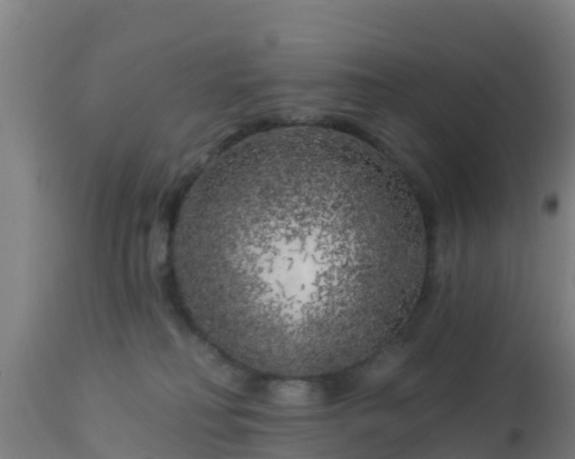X0000112890230200908281708