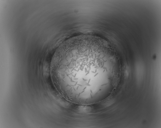 X0000112890234200908281708